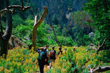 Greece-Crete-Hiking - Hidden Crete